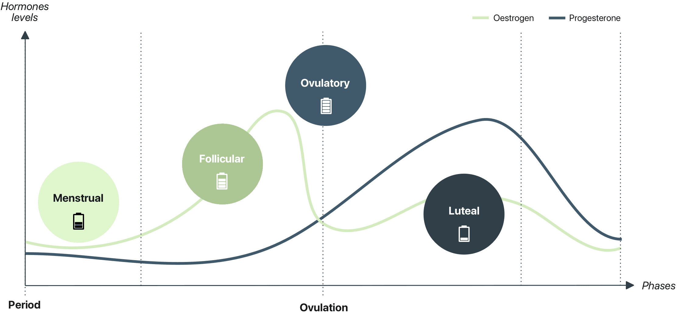 Why train in sync with your cycle?